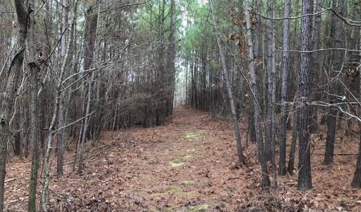 Photo #1 of 68 Lakeside, Lilesville, NC