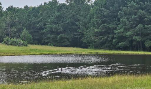 Photo #4 of Tract A Porter, Rock Hill, SC