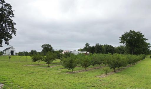 Photo #26 of 212 Guardian, Rockingham, NC