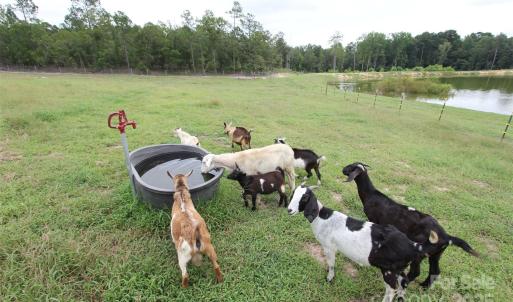 Photo #42 of 212 Guardian, Rockingham, NC