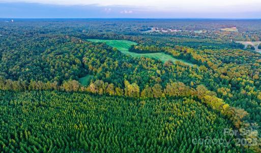 Photo #9 of Daystar, Lancaster, SC