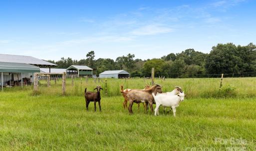 Photo #26 of 1333 Bunnlevel Erwin, Bunnlevel, NC