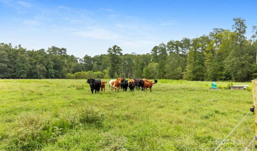 Photo #27 of 1333 Bunnlevel Erwin, Bunnlevel, NC