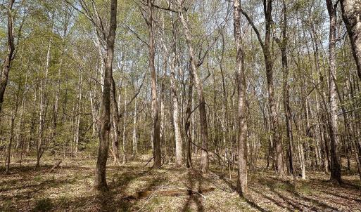 Photo #17 of 23 AC Ned Marsh, Salisbury, NC