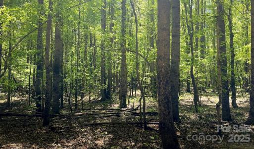 Photo #15 of 23 AC Ned Marsh, Salisbury, NC