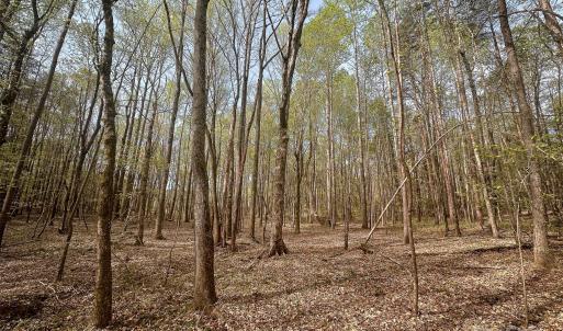 Photo #16 of 23 AC Ned Marsh, Salisbury, NC