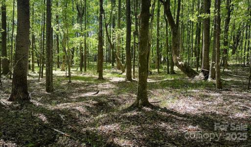 Photo #14 of 23 AC Ned Marsh, Salisbury, NC