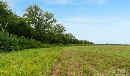 Photo #23 of Milling, Rock Hill, SC