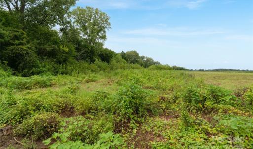 Photo #26 of Milling, Rock Hill, SC