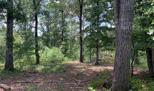 Photo #14 of 7718 Pleasant Hill Church, Marshville, NC