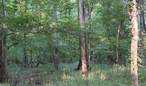 Photo #25 of Maggie Robinson, Waxhaw, NC