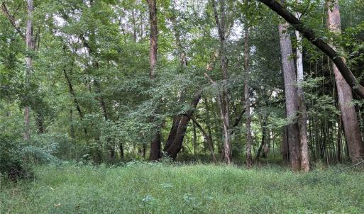 Photo #26 of Maggie Robinson, Waxhaw, NC