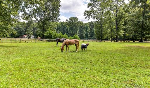 Photo #19 of Maggie Robinson, Waxhaw, NC