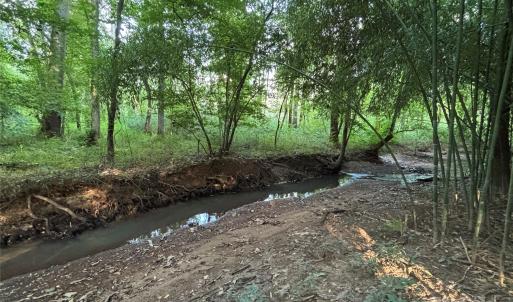 Photo #28 of Maggie Robinson, Waxhaw, NC