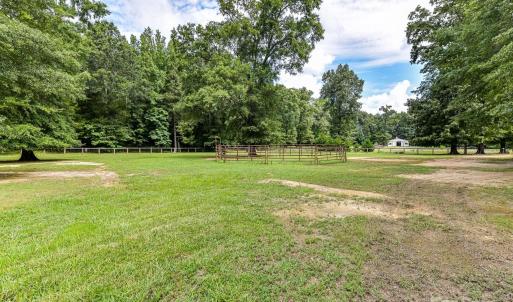 Photo #18 of Maggie Robinson, Waxhaw, NC