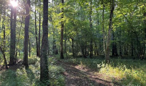 Photo #3 of Maggie Robinson, Waxhaw, NC