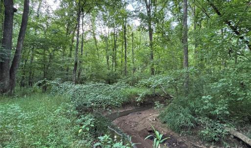 Photo #27 of Maggie Robinson, Waxhaw, NC