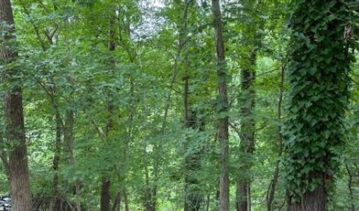 Photo #1 of 10046 Tepa, Tega Cay, SC