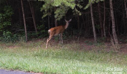 Photo #40 of 113 Water View, Badin Lake, NC