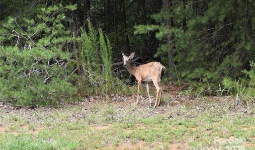 Photo #39 of 113 Water View, Badin Lake, NC