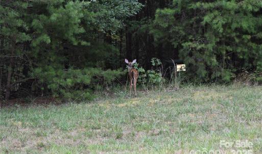 Photo #37 of 113 Water View, Badin Lake, NC