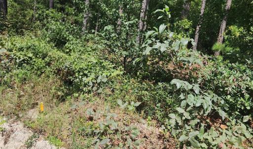 Photo #1 of 2340 Camp, Bethune, SC