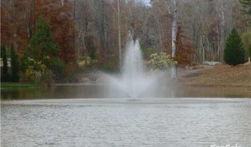 Photo #6 of 602 Sorrell Spring, Waxhaw, NC