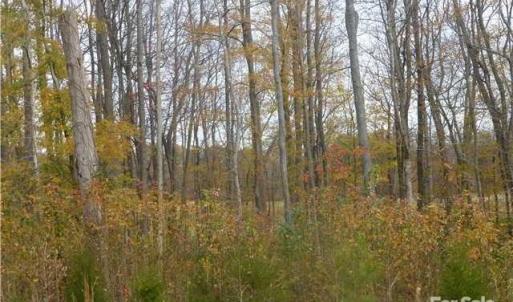 Photo #7 of 602 Sorrell Spring, Waxhaw, NC