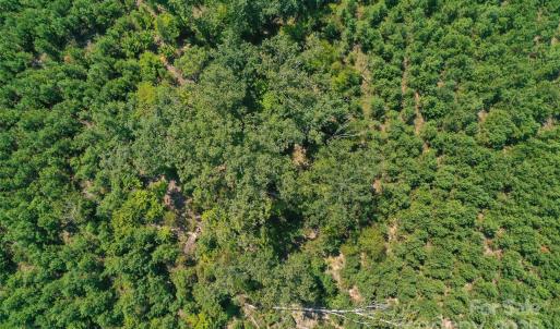 Photo #27 of Old Windmill, Ridgeway, SC