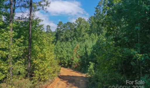 Photo #21 of Old Windmill, Ridgeway, SC