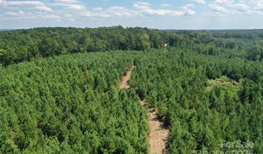 Photo #25 of Old Windmill, Ridgeway, SC