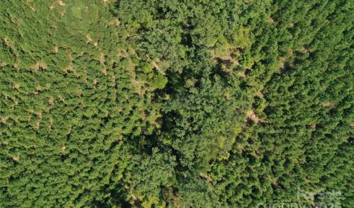 Photo #29 of Old Windmill, Ridgeway, SC