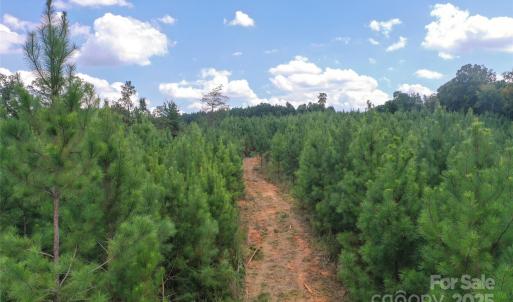 Photo #34 of Old Windmill, Ridgeway, SC