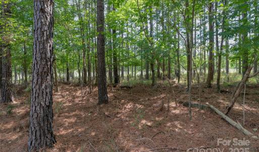 Photo #41 of Old Windmill, Ridgeway, SC