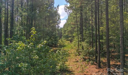 Photo #32 of Old Windmill, Ridgeway, SC
