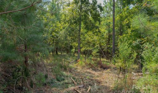 Photo #43 of Old Windmill, Ridgeway, SC