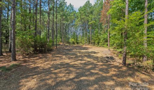 Photo #36 of Old Windmill, Ridgeway, SC
