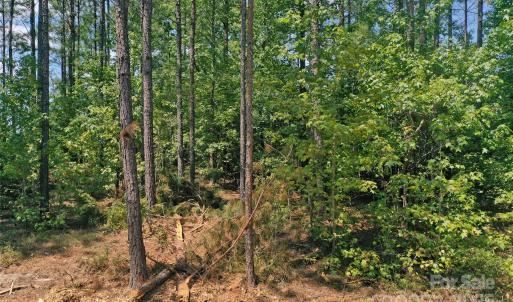 Photo #33 of Old Windmill, Ridgeway, SC