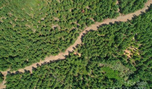 Photo #30 of Old Windmill, Ridgeway, SC