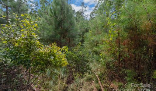 Photo #45 of Old Windmill, Ridgeway, SC