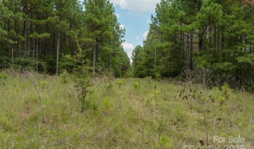 Photo #39 of Old Windmill, Ridgeway, SC