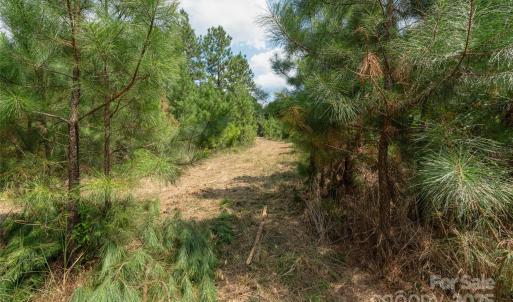 Photo #44 of Old Windmill, Ridgeway, SC