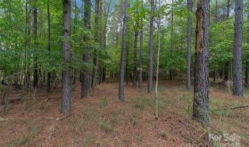 Photo #40 of Old Windmill, Ridgeway, SC