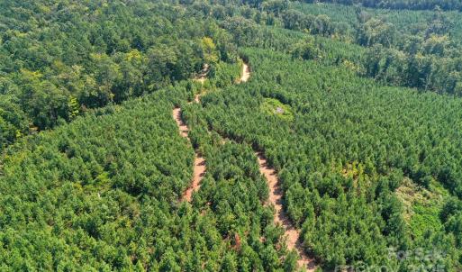 Photo #10 of Old Windmill, Ridgeway, SC