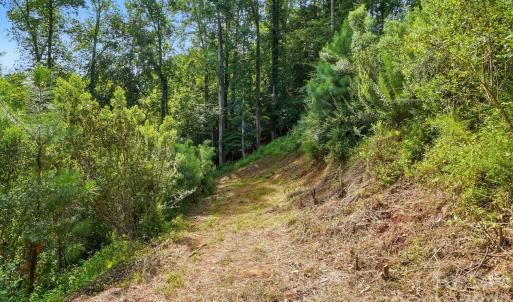 Photo #10 of 29010 Silver Fox, Tega Cay, SC