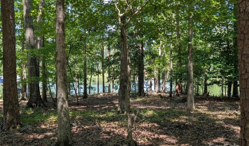 Photo #16 of Lot 14 Russ, Mount Gilead, NC