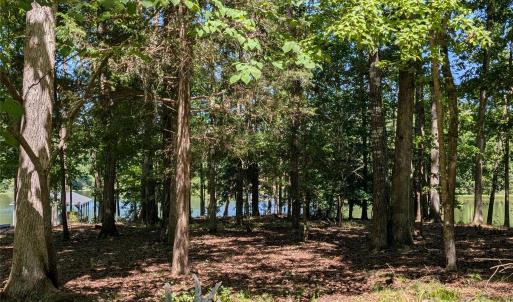 Photo #15 of Lot 14 Russ, Mount Gilead, NC