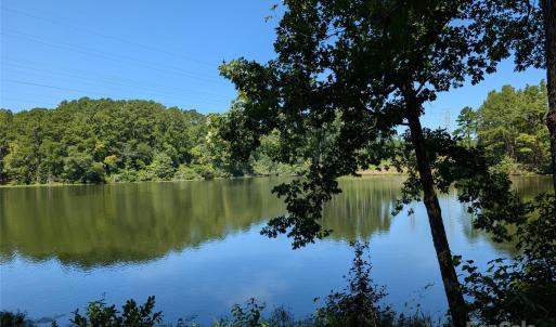 Photo #8 of Lot 14 Russ, Mount Gilead, NC