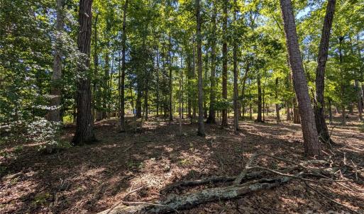 Photo #13 of Lot 14 Russ, Mount Gilead, NC