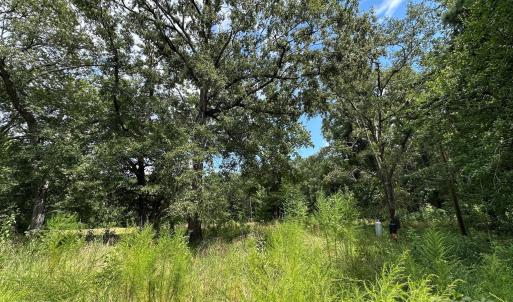 Photo #7 of 951 Wateree Estates, Winnsboro, SC